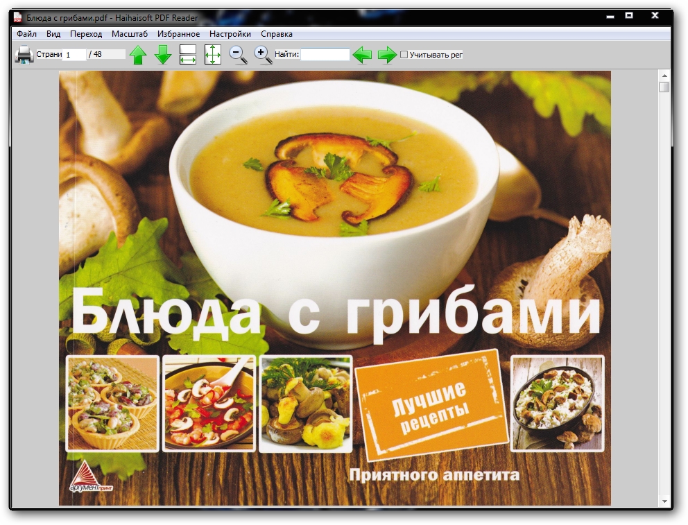 Haihaisoft PDF Reader 1.4.5 RUS скачать бесплатно - PDF ридер